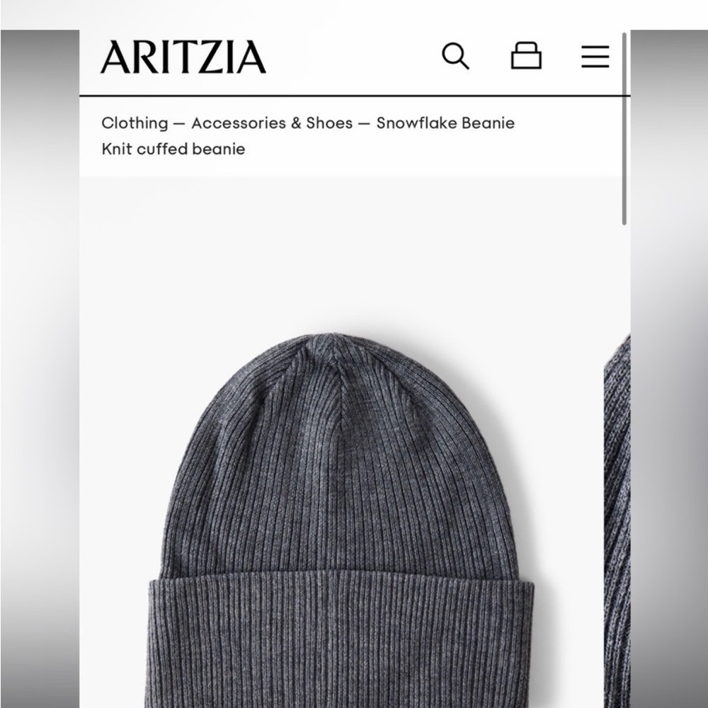 Aritzia Sunday’s Best Gray Beanie